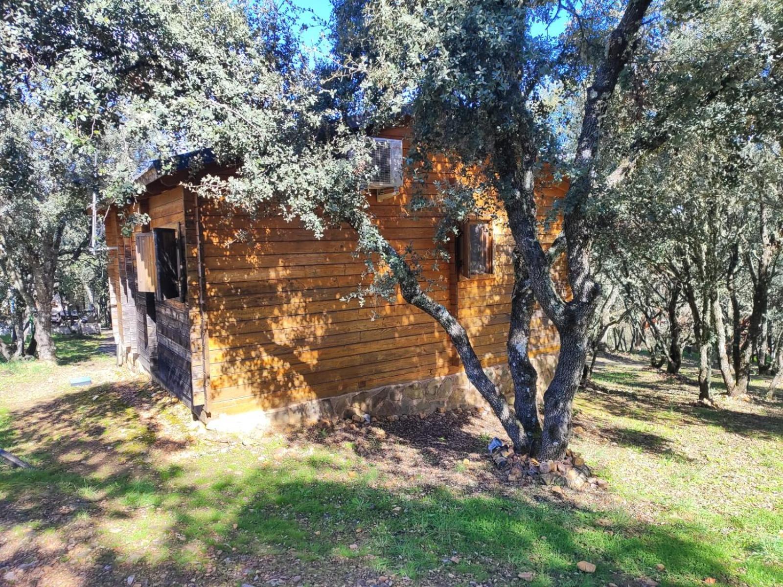 Nuevo Ecolodge Cabaneros Retuerta de Bullaque Екстериор снимка
