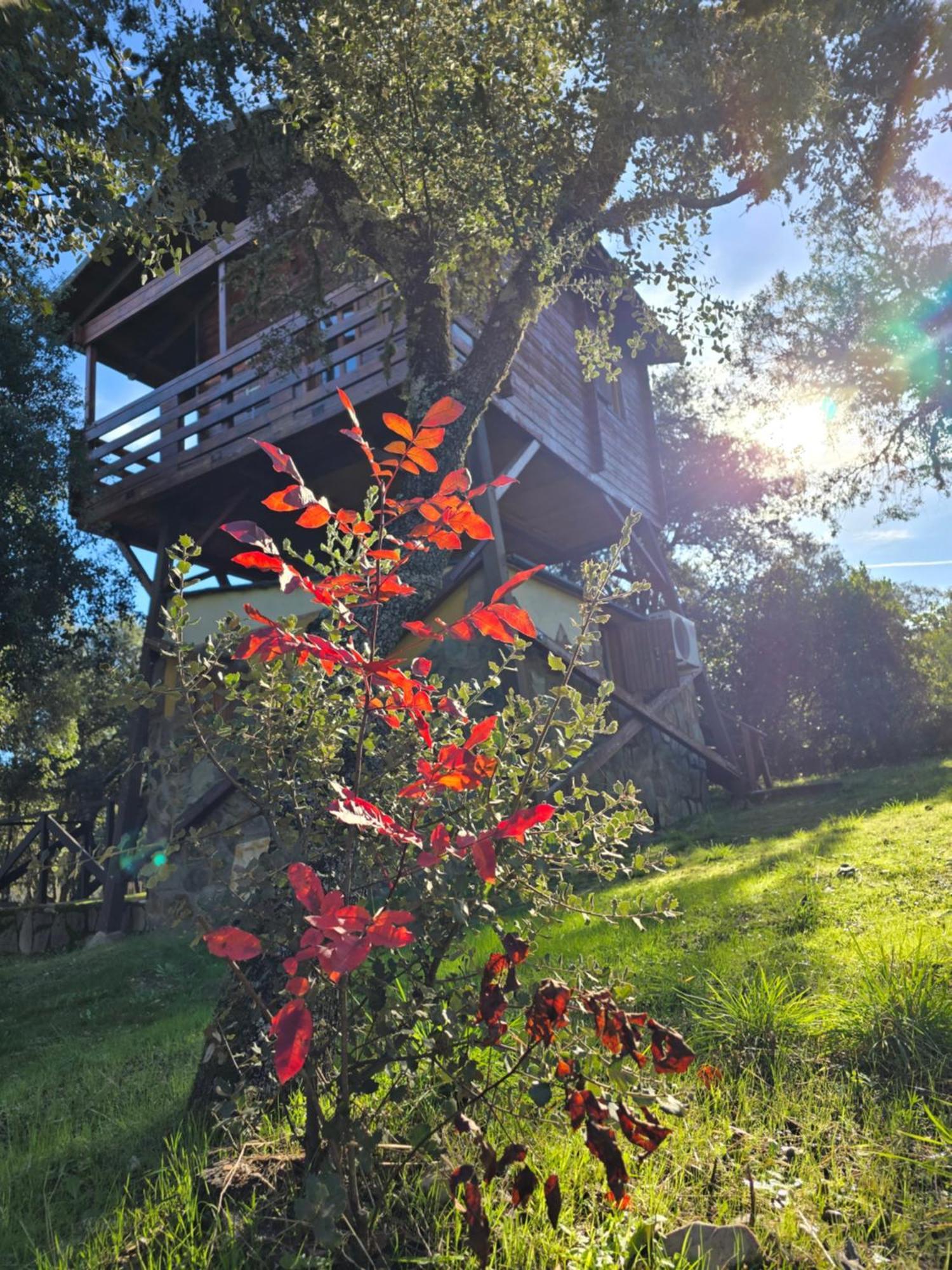 Nuevo Ecolodge Cabaneros Retuerta de Bullaque Екстериор снимка